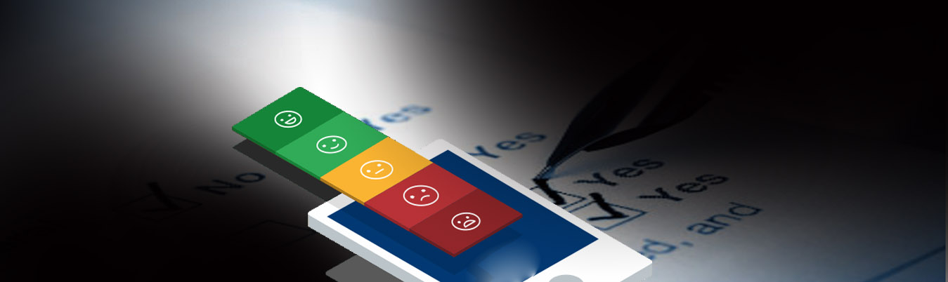 Customer surveys and Insights